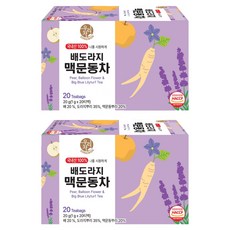 우리차 송원식품 배도라지 맥문동차 티백, 2개, 20개입, 1g
