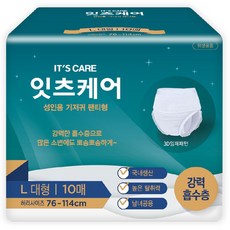 잇츠케어 남녀공용 성인기저귀 팬티형, 대형, 1개, 10개입