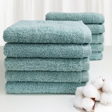 테리파머뱀부얀