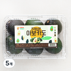 프레시몬 페루산 아보카도, 1kg, 5개