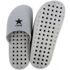 스칸디나마이크로포드