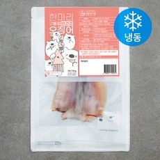 해선생반건조오징어