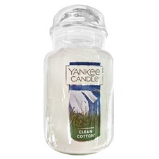 YANKEE CANDLe 香氛蠟燭, Clean Cotton, 清爽棉, 623g, 1個