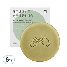 동구밭 올바른 샴푸바 중건성용, 120g, 6개