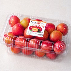 김천앤 내몸에 당도선별 대석 자두, 1팩, 1.5kg