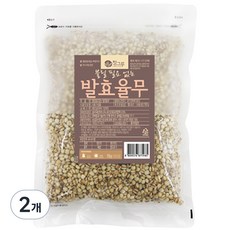 청그루 불릴 필요없는 발효율무, 500g, 2개