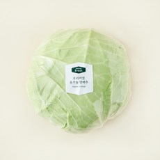 프리미엄 유기농 양배추, 1kg, 1개입, 1개 1개입, 1개