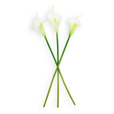 레스쁘리 아제르 아트 플라워 스틱 카라 3p, 화이트, 1개