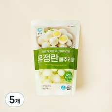 청정원 유정란 메추리알, 500g, 5개