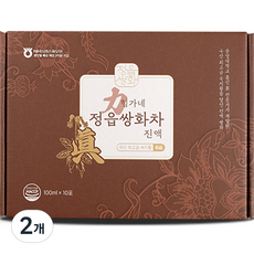 힘가네 쌍화차 100ml, 10개입, 2개