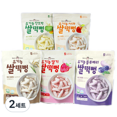 맛있는풍경 유기농 쌀떡뻥 딸기 25g + 사과 25g + 블루베리 25g + 단호박 25g + 플레인 25g, 2세트