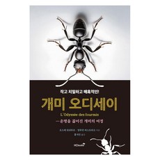 [힘찬북스]개미 오디세이 : 운명을 짊어진 개미의 여정, 힘찬북스, 오드레 뒤쉬투르 앙투안 비스트라크