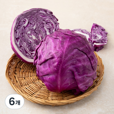 국내산 적채, 700g, 6개 1통, 6개