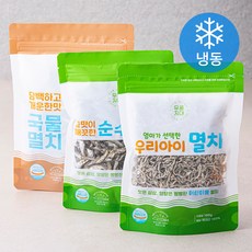 무풍지대 엄마가 선택한 우리아이 멸치 어린이용 100g + 끝맛이 깨끗한 순수멸치 볶음조림용 100g + 담백하고 개운한맛 국물멸치 120g (냉동), 1세트
