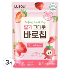루솔 과일칩 딸기 그대로 바로칩, 12g, 3개