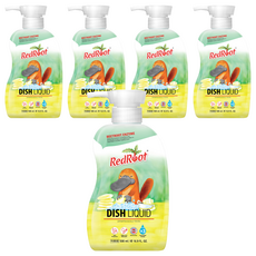 레드루트 주방세정제, 500ml, 5개