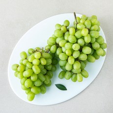 곰곰 호주산 씨없는 청포도, 1개, 1.2kg 1개, 1.2kg