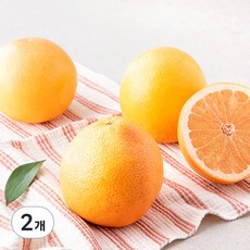 만나다 미국산 자몽, 1kg, 2개