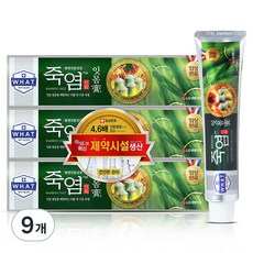 죽염 잇몸고 치약, 120g, 9개