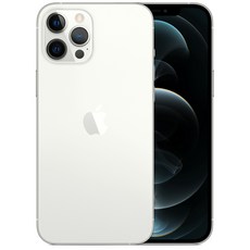 Apple 아이폰 12 Pro Max 자급제, 256GB, 실버