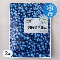 이안 칠레산 블루베리 (냉동), 1kg, 3개