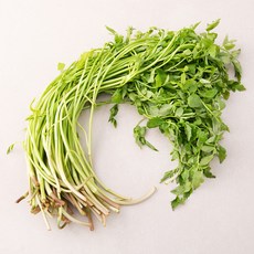 GAP 하동 미나리, 400g, 1봉