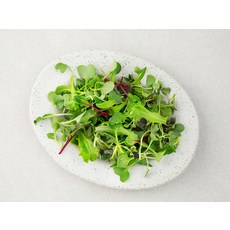 유기농 어린잎 채소믹스, 50g, 1개 - 이미지 3
