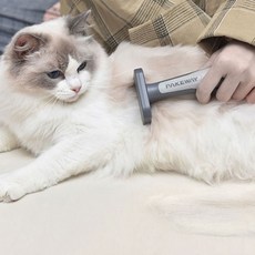 옥희브러쉬