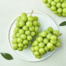 곰곰 당도선별 샤인머스캣, 2kg, 1개