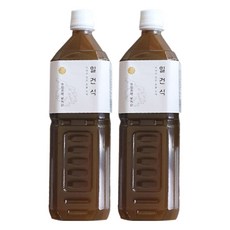 일건식 무가당 생강진액, 1L, 1개입, 2개