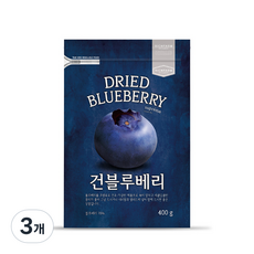 리치팜너트 건블루베리, 400g, 3개