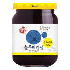 오뚜기 블루베리쨈, 300g, 1개