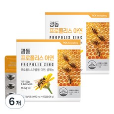 광동 프로폴리스 아연 셀렌, 60정, 6개