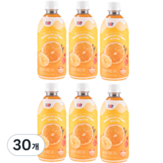 배스킨라빈스 레인보우 샤베트 워터, 500ml, 30개