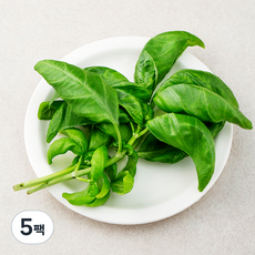 친환경 바질, 10g, 5팩