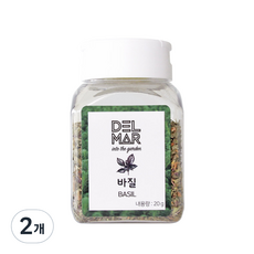 딜리셔스마켓 바질 럽드 향신료, 20g, 2개