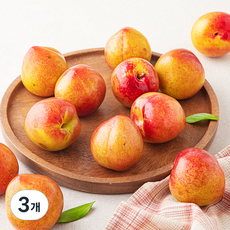 하이프루츠 새콤달콤 후무사 자두, 3개, 1.5kg(대)