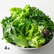 유러피안 친환경 소프트 샐러드, 130g, 4개