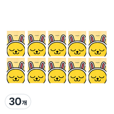 카카오프렌즈 L자 홀더 파일, 무지, 30개