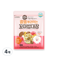 루솔 바로한끼 솔솔뿌려먹는 꼬마밥대장 20g, 한우 앤 버섯맛, 4개 - 루솔꼬마밥대장