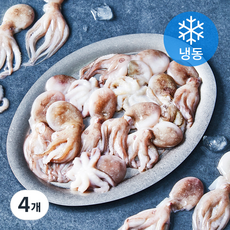 올프레시 IQF 주꾸미 (냉동), 500g, 4개