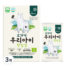 자연나라김 오가닉 우리아이 한입김 40p, 80g, 3개 - 내아이애김