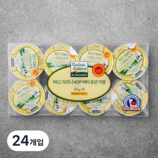 이즈니 AOP 버터 포션 가염, 25g, 24개입
