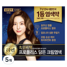 리엔 흑모비책 프로폴리스 담은 크림 염색제 새치용 12회분, 짙은갈색, 5개