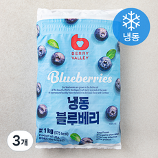 베리밸리 미국산 블루베리 (냉동), 1kg, 3개