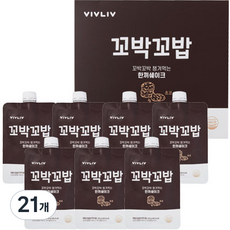 비브리브 꼬박꼬밥 식사대용 초코 맛 한끼 쉐이크, 40g, 21개