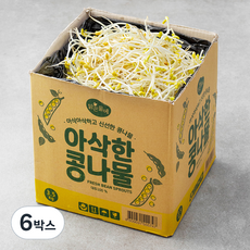  맑은물에 아삭한 콩나물, 3.5kg, 6박스 