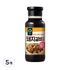 청정원 돼지갈비양념 500g, 5개