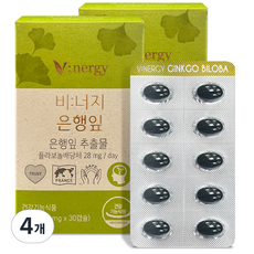 비너지 은행잎 영양제, 4개, 12g