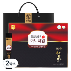 종근당 홍삼정 애니타임 골드 + 쇼핑백, 300ml, 2박스